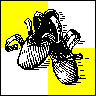 KWDS logo: black dance shoes over quartered yellow and white